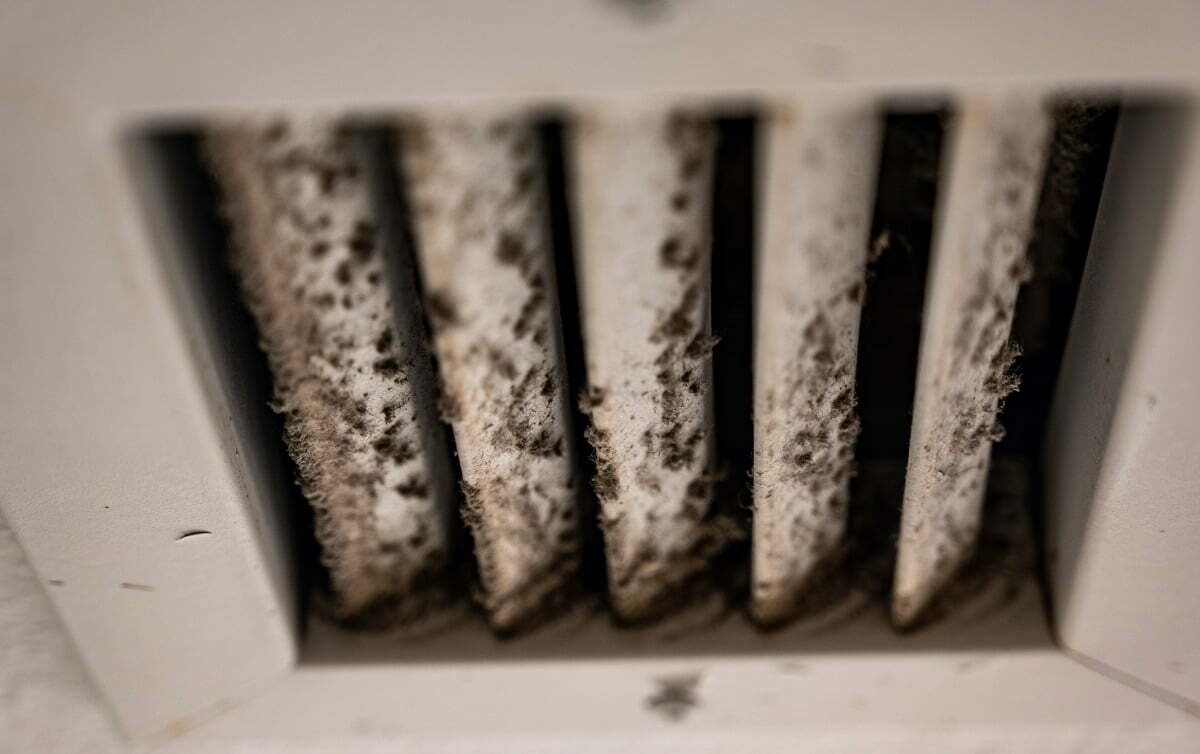 Superior AC Kill Dangerous Mold Spores In Your HVAC System
