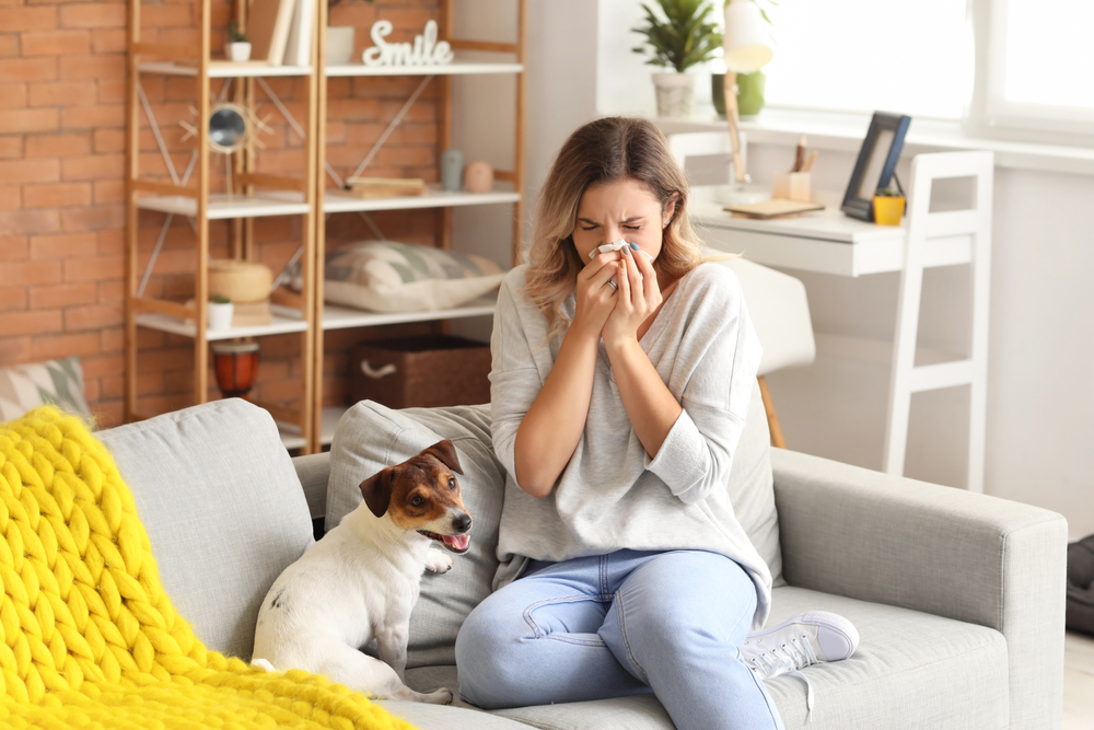 How Your AC Can Affect Your Allergies